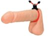 Penisløkke You2Toys Red Sling Penisring - Bilde 2