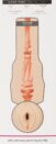 Fleshlight Alexis Texas Outlaw - Bilde 4
