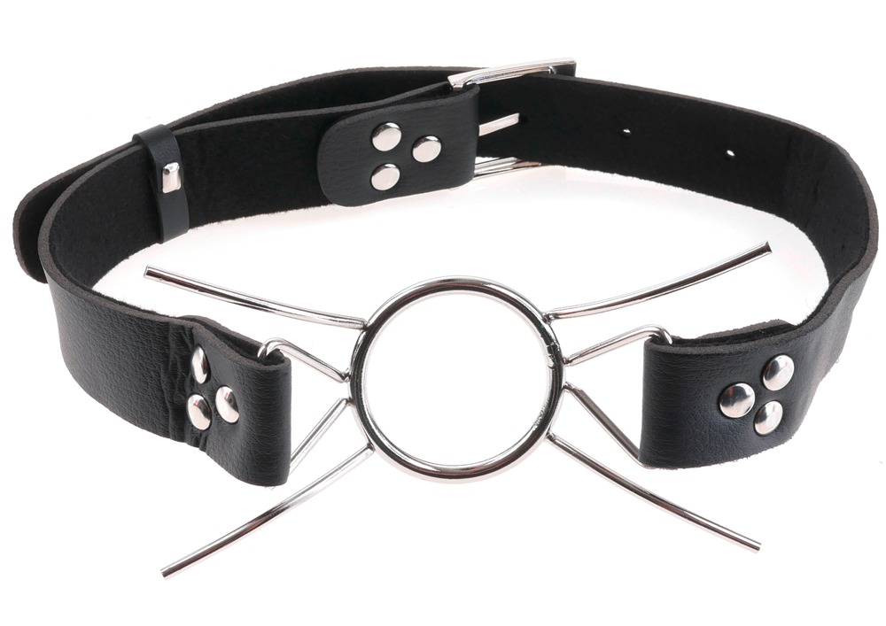 Fetish Fantasy Extreme Spider Gag