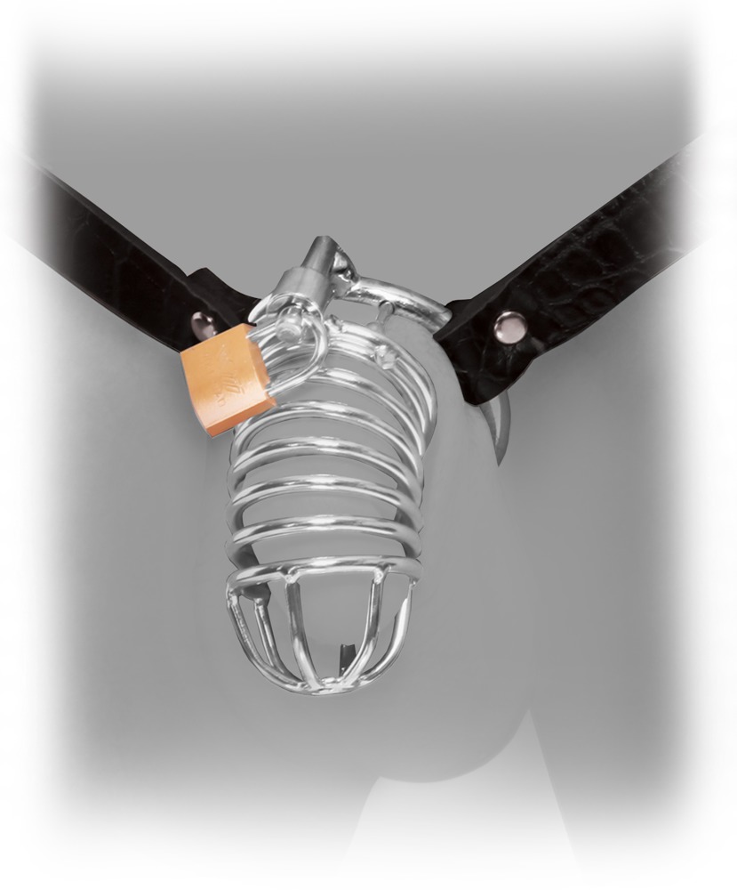 Fetish Fantasy Extreme Chastity Belt