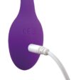 Adrien Lastic Vibroegg Smart Dream - Bilde 4