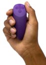 We-Vibe Chorus - Bilde 28