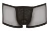 Svenjoyment Boxer 17 - Bilde 5