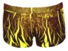 Svenjoyment Boxer 24 - Bilde 6